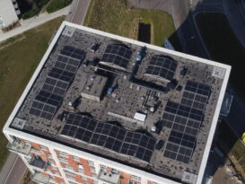 {{brizy_dc_image_alt imageSrc=